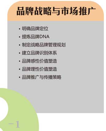 品牌戰略與市場推廣 品牌戰略與市場推廣